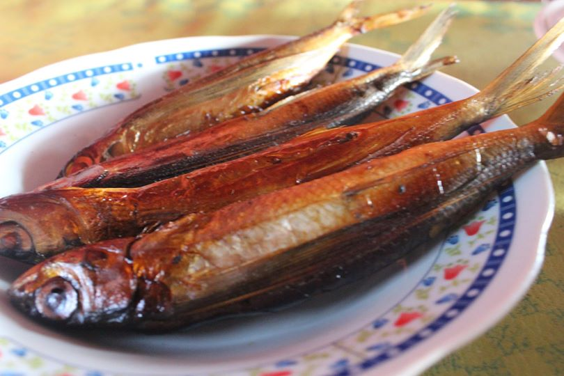 Kota Majene - ikan tui tuing